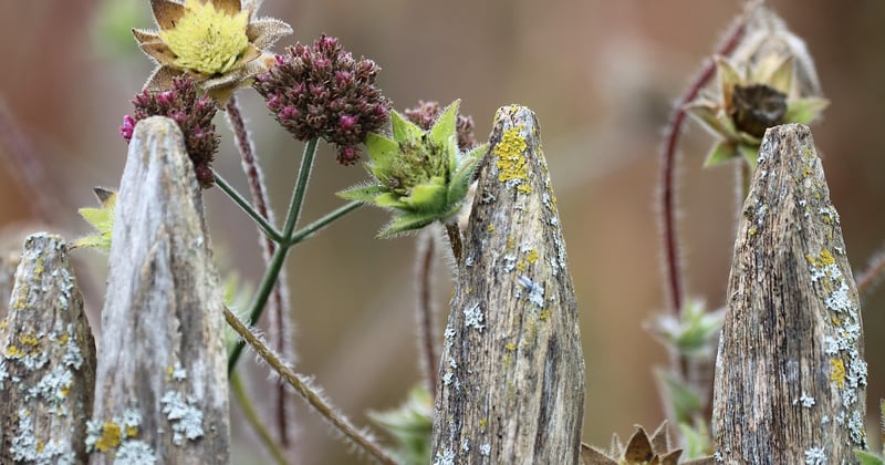 Construire une clôture de jardin : le guide complet du plan à la réalisation