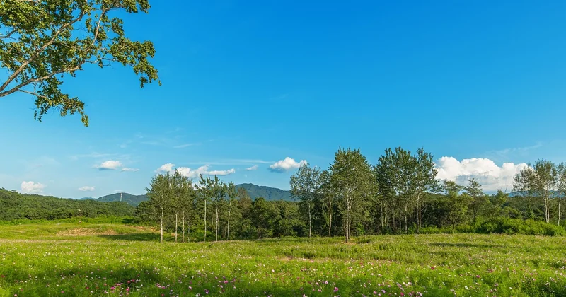 Quel budget pour une clôture de jardin ?