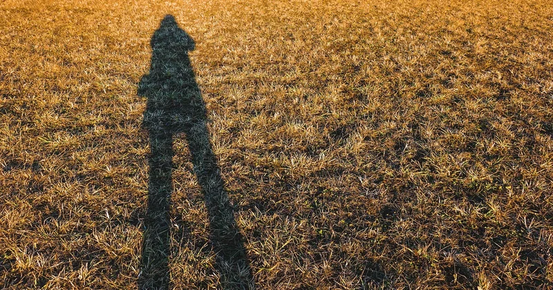 Les vraies causes d'échec que personne ne vous dit