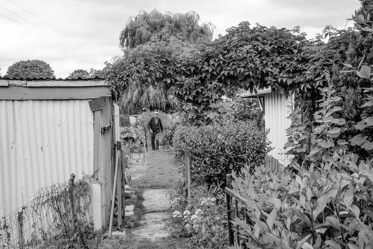 Cabanon ou abri de jardin : une distinction qui change tout