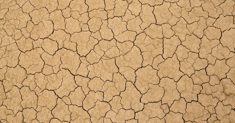 Les terrains difficiles : comment éviter la fissure et le glissement